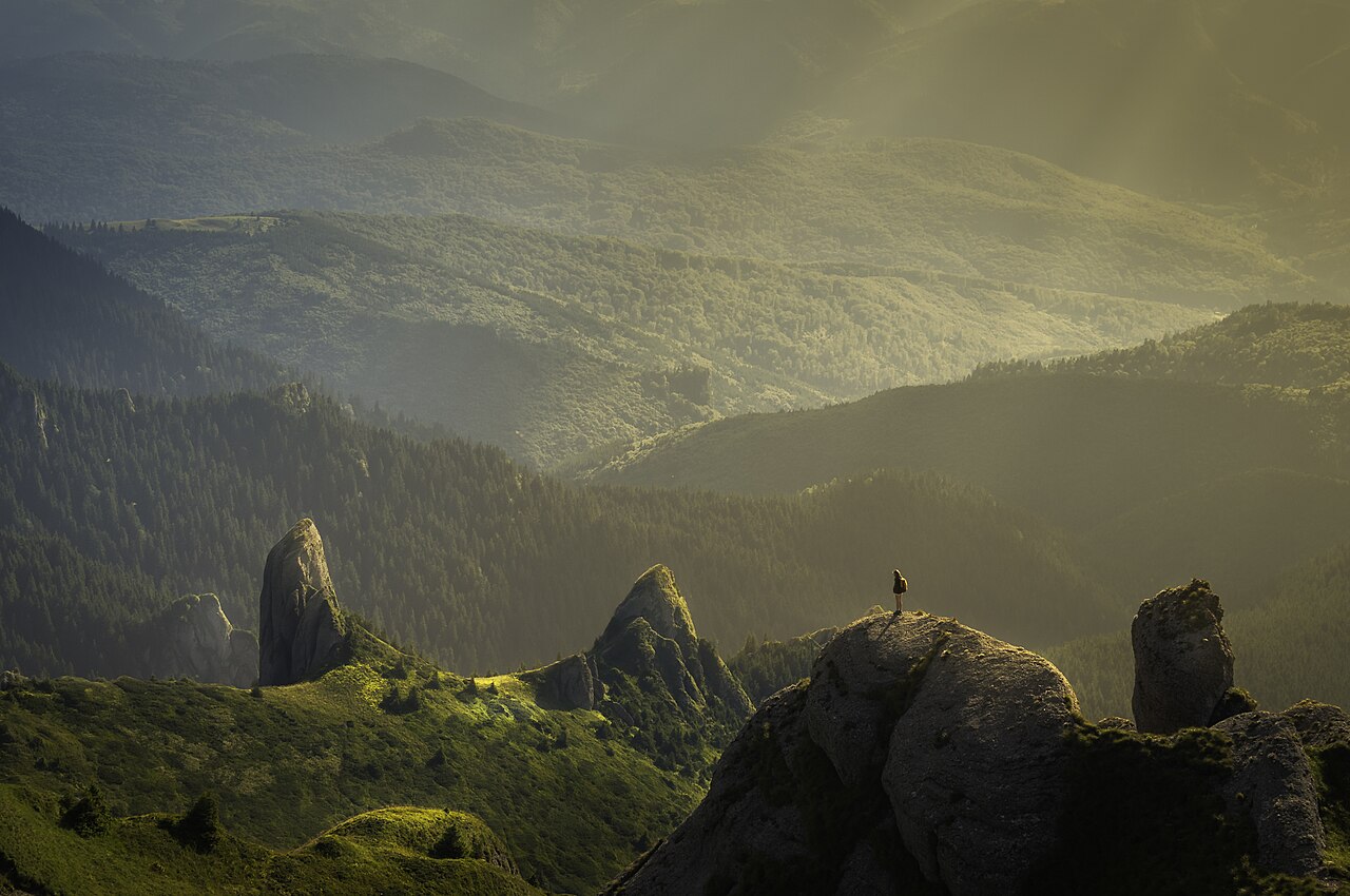 The Wilderness