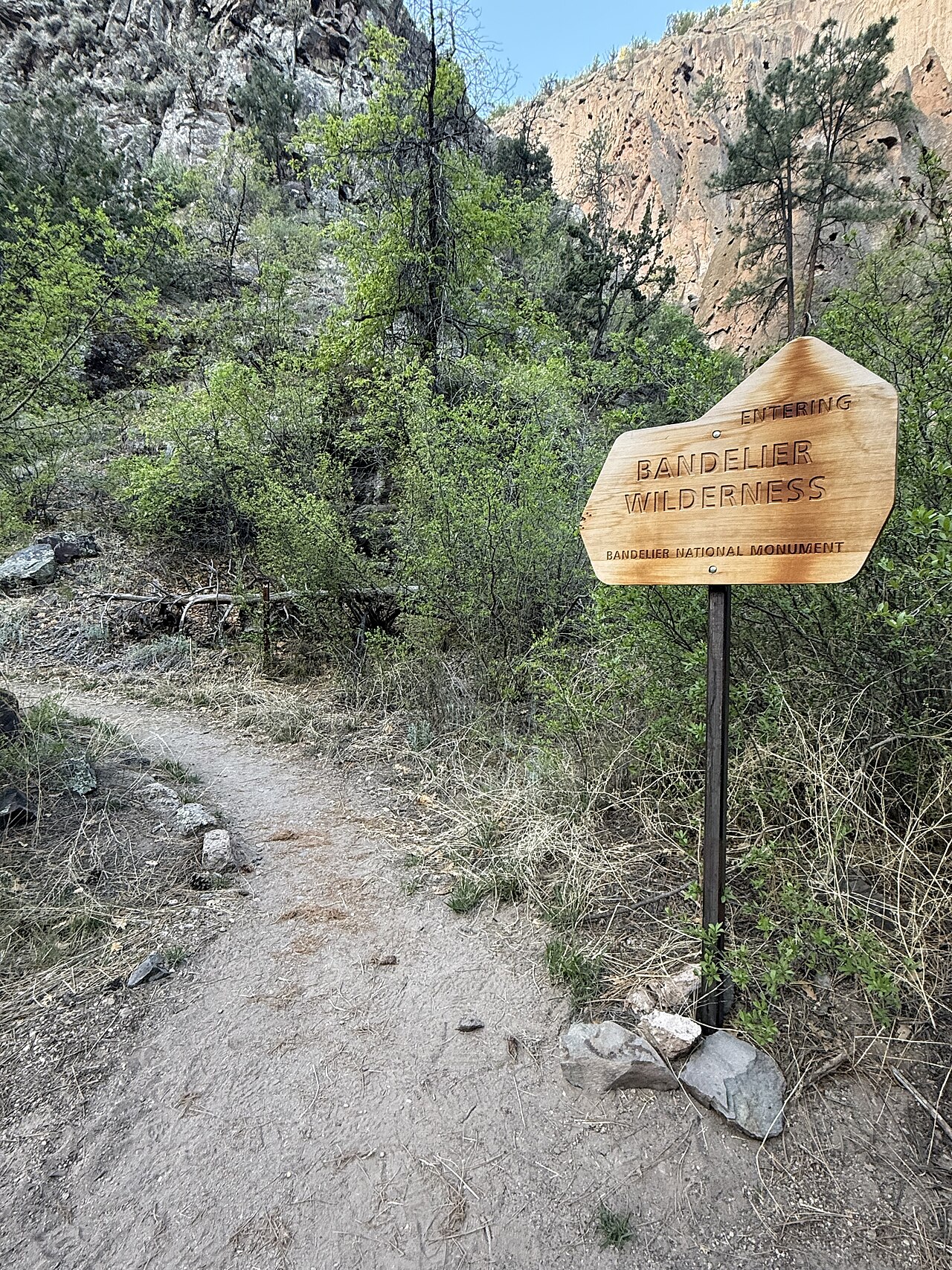The Wilderness