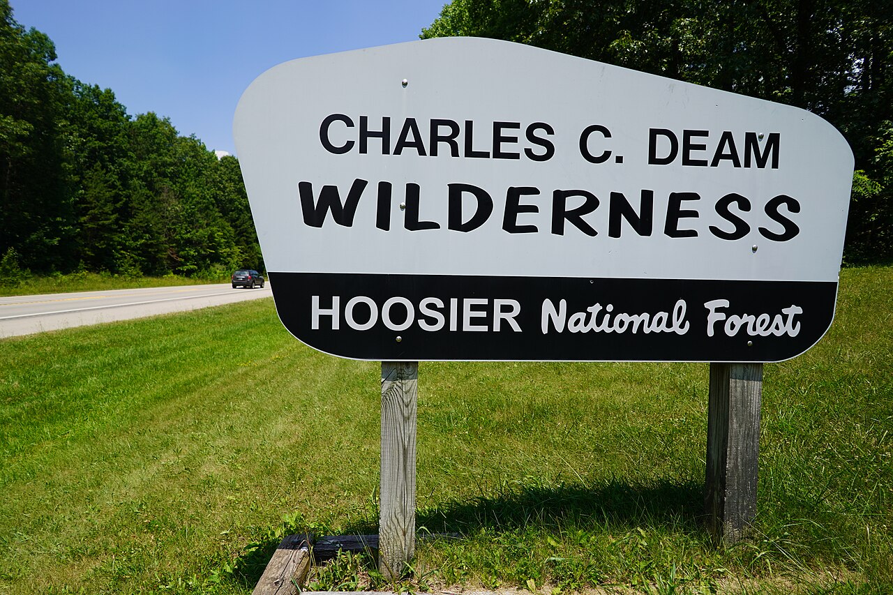 The Wilderness