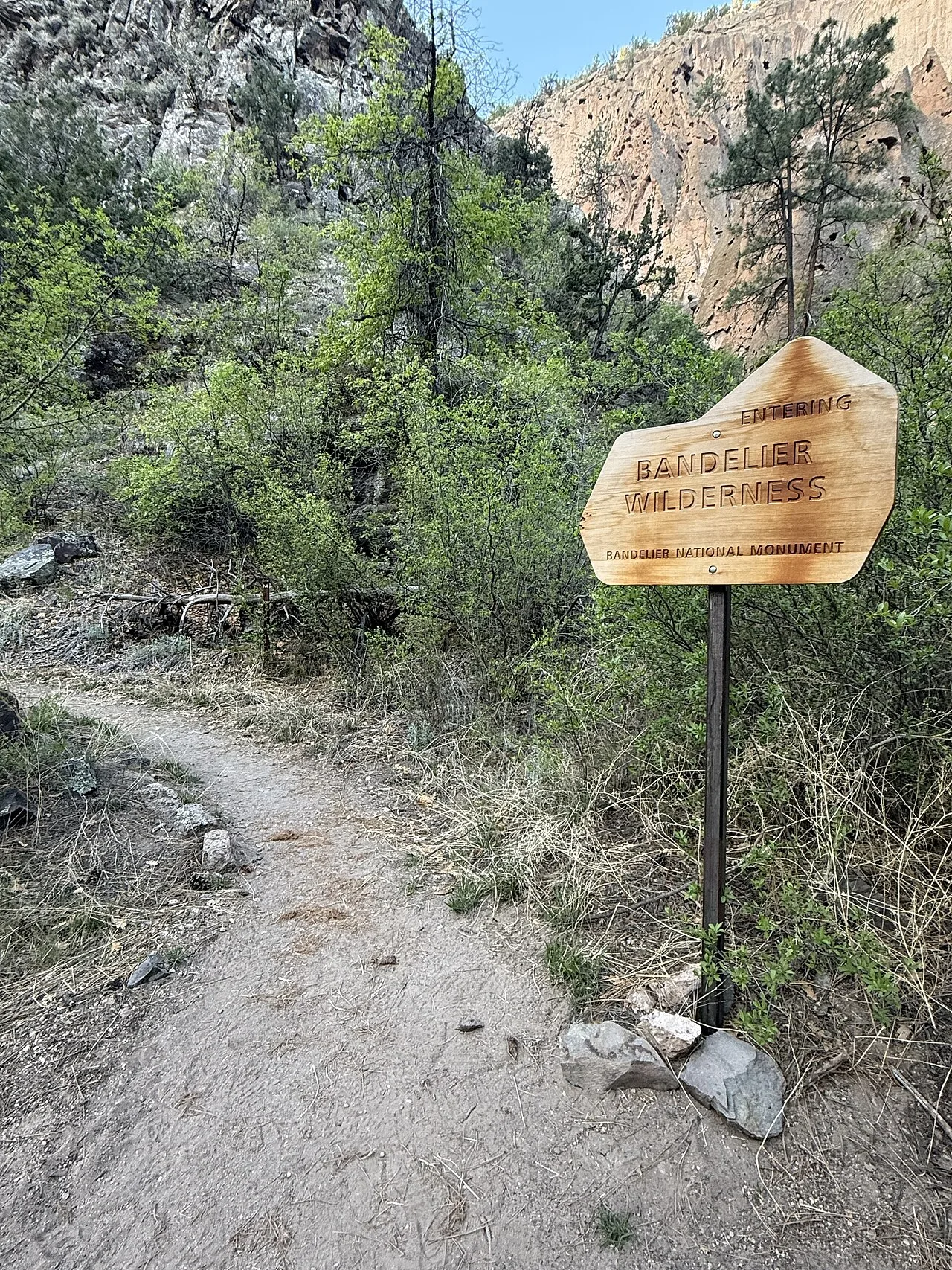 The Wilderness
