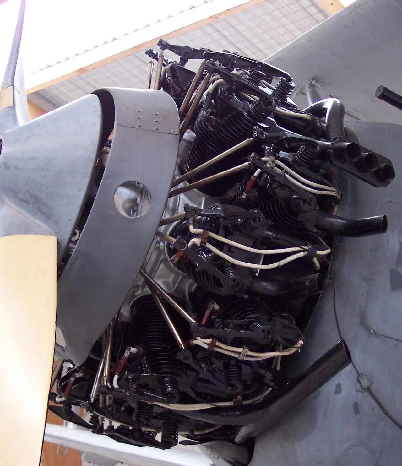 The Jaguar