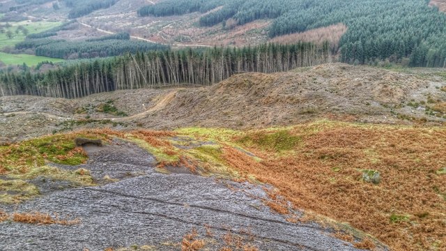 The Crash Site